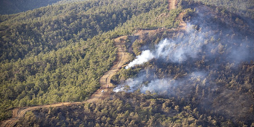 Marmaris'teki Orman Yangınının Faili Yakalandı
