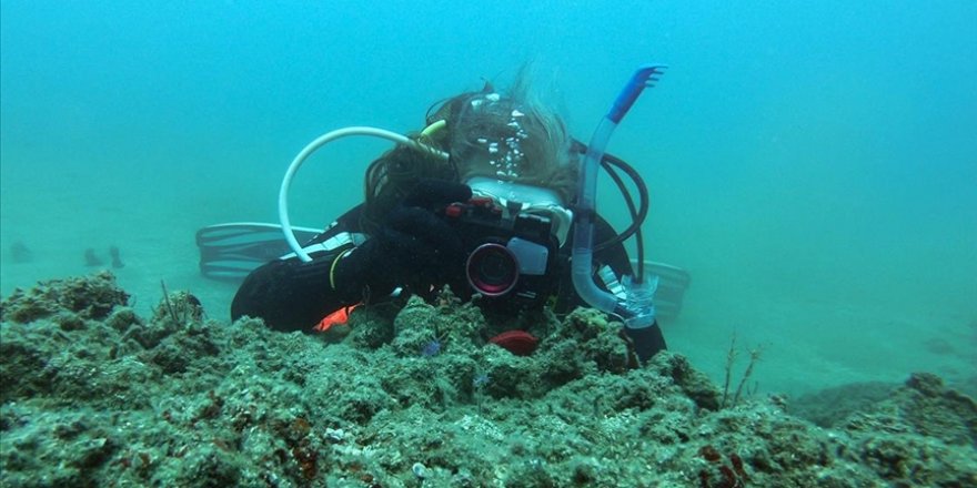 Fotoğraf Tutkunları Mersin Kıyılarındaki Su Altı Kanyonları İçin Dalıyor