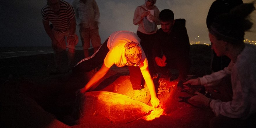 Üniversite Öğrencilerinden Deniz Kaplumbağaları İçin 'Gönüllü Nöbet'