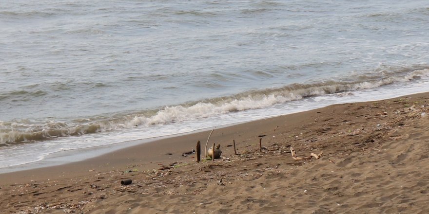 Rusya, Karadeniz’de Tespit Edilen Mayın Nedeniyle Denizcileri Uyardı