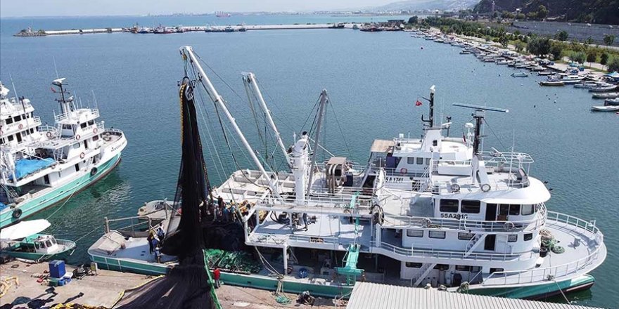 Yarın Başlayacak Yeni Av Sezonunda Palamut Bolluğu Yaşanacak