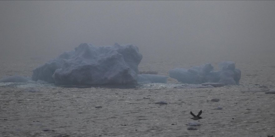 Arktik'teki Deniz Buzlarının 3'te 1'i İklim Değişikliği Nedeniyle Yok Oldu