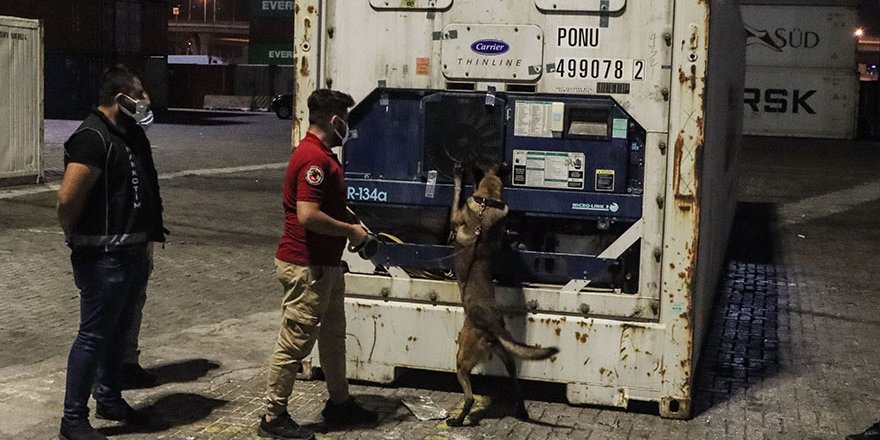 Mersin Limanı’nda Muz Yüklü Konteynerde 48 Kilo 800 Gram Kokain Ele Geçirildi
