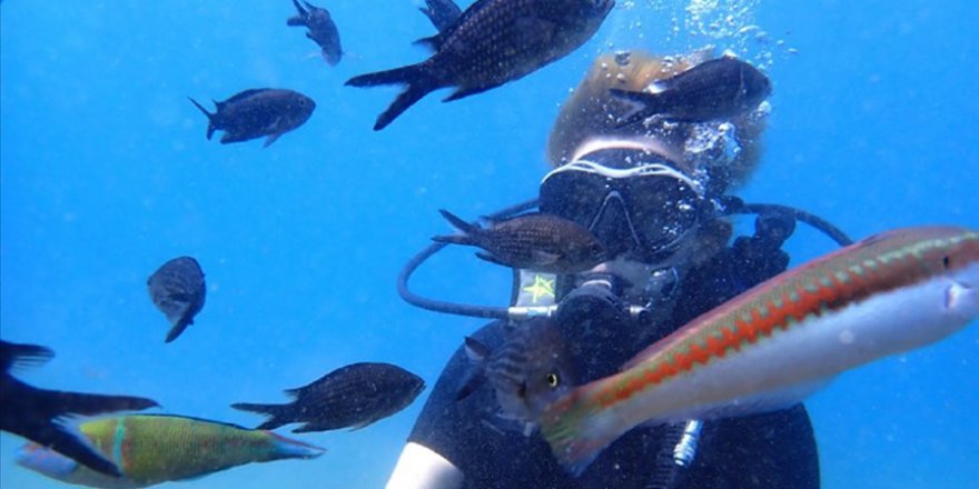 Mersin'de Lesepsiyen Balık Türlerinin İncelenmesi İçin Keşif Dalışı Yapıldı