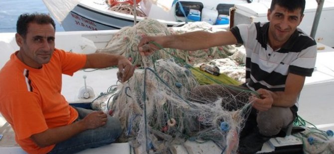 Fareler ve yengeçler balık ağlarını parçalıyor