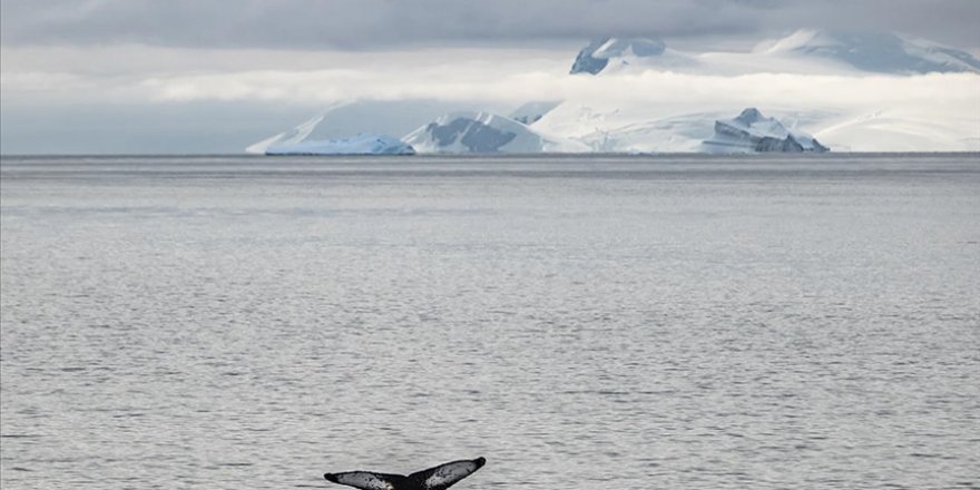 Antarktika'daki Kıyamet Buzulu'nun Çatlaklarına Sızan Sıcak Su Erimeyi Hızlandırıyor