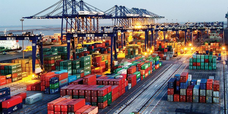 ABD’den Yeni Suçlama: Çinli Vinçler Casusluk Yapıyor