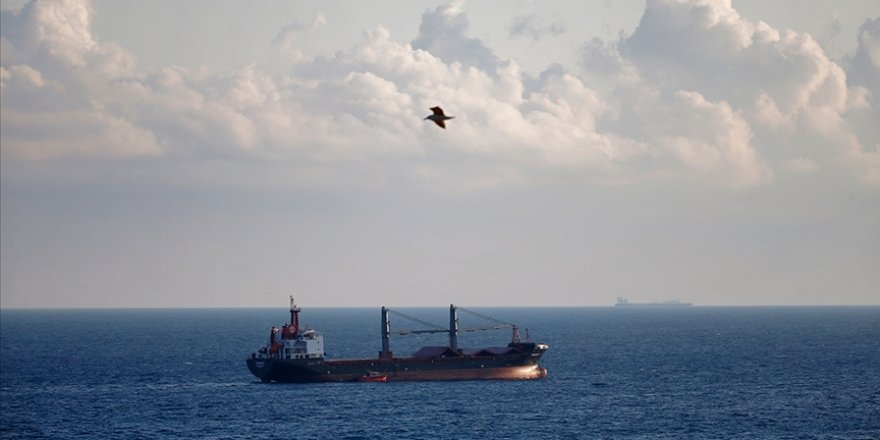 ABD, Karadeniz Tahıl Koridoru Girişimi'nin Süresinin Uzatılmasını Destekliyor