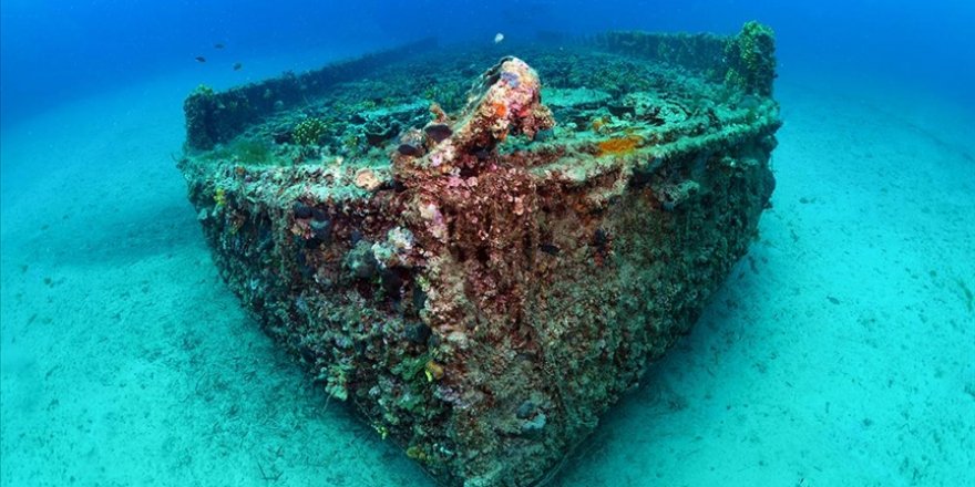 Çanakkale Savaşları'ndan Kalma 108 Yıllık Batık Gemiler Görüntülendi