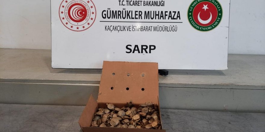 Su Kaplumbağalarını Türkiye’ye Sokmaya Çalışırken Sınırda Yakalandı