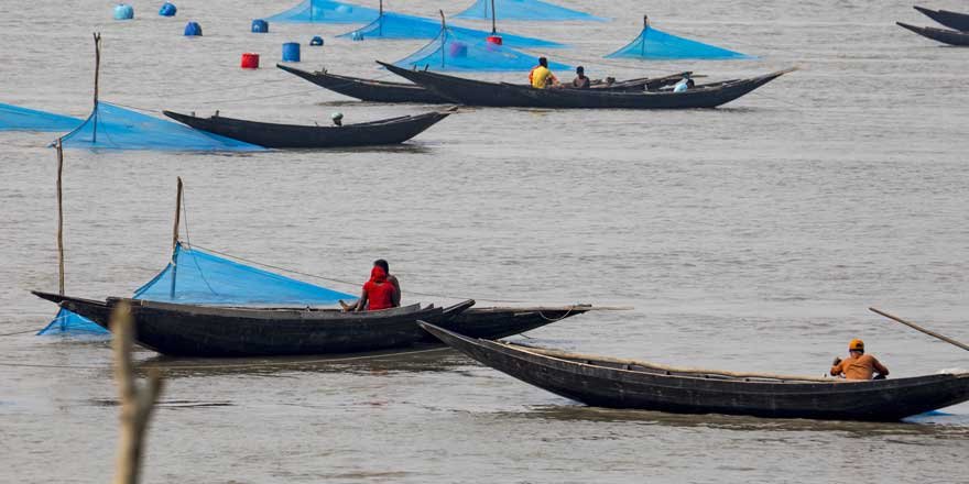 Bangladeş'te Karides Avcılığı