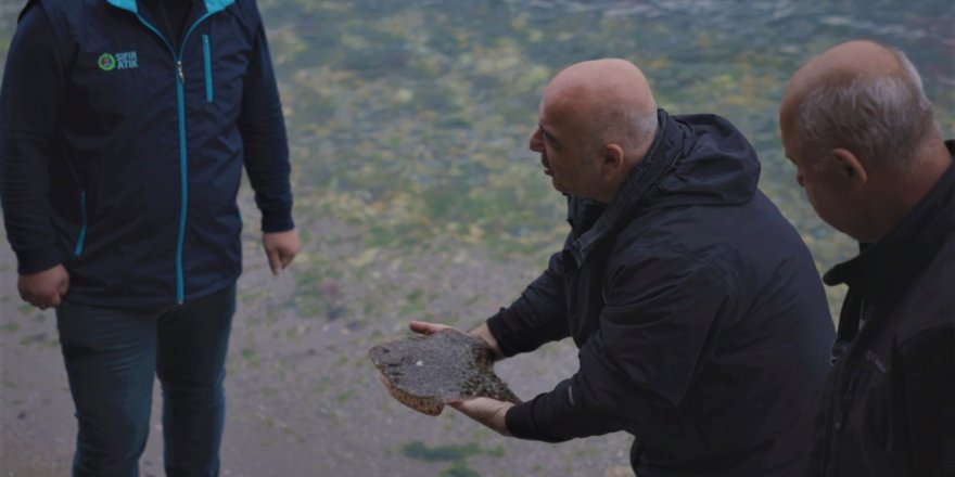 Ağlara Takılan Çipli Kalkan Denize Bırakıldı