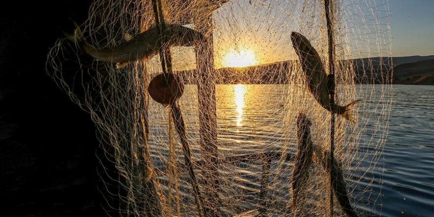 Amatör Balıkçı 46 Kilo Ağırlığında Turna Balığı Yakaladı