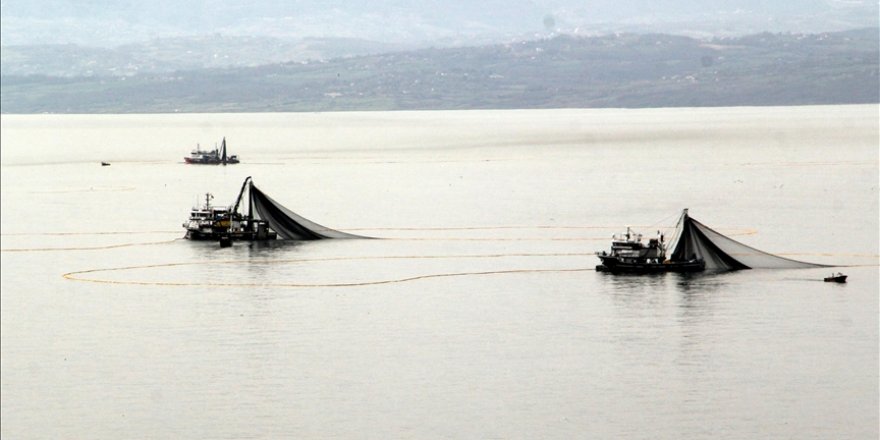 Güney Kore, Deniz Ürünü İthalatına Yasak Getirdi