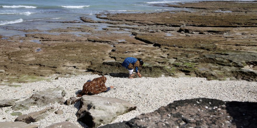 Keşm Adası'ndaki Deniz Kabukları Süs Eşyasına Dönüşüyor