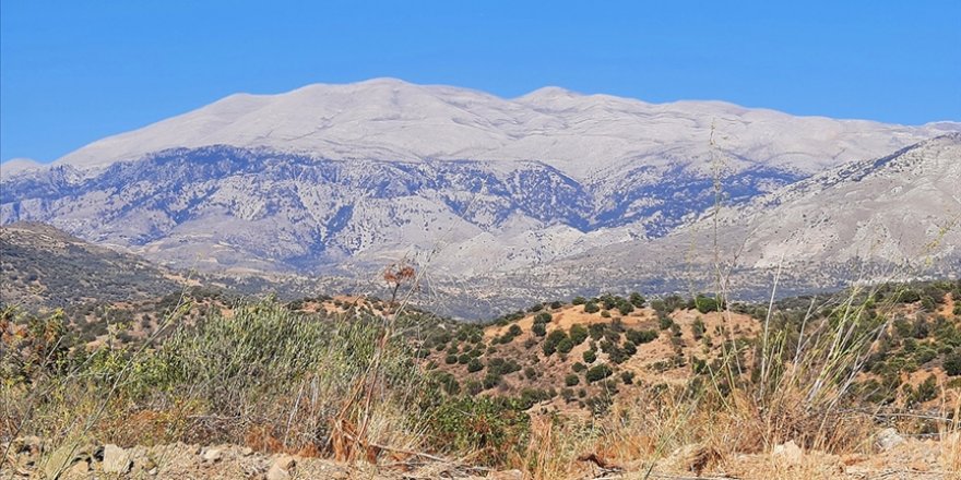 Yunanistan'da İklim Krizi Çanları Çalıyor