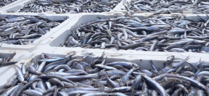 Balıkçılar arz-talep dengesini sağlayamamaktan şikayetçi