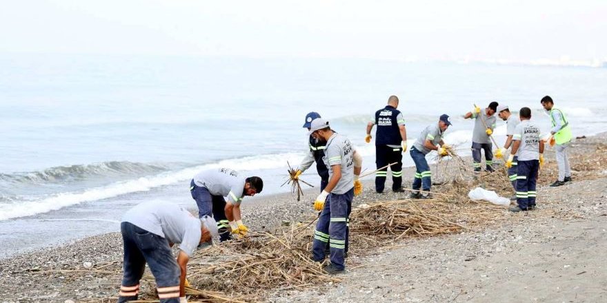 Mersin'de Deniz Kaplumbağalarının Yuvalama Alanları Temizlendi