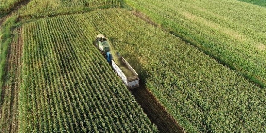 AB'nin Rusya'dan Petrol İthalatı Yüzde 90 Azaldı