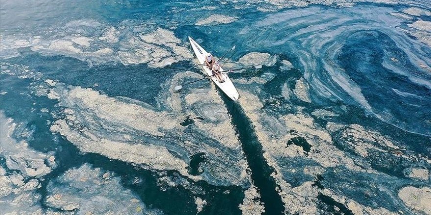 Sıcaklık Artarsa Marmara'da Müsilaj Tetiklenebilir