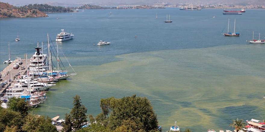 Yaz Mevsimiyle Birlikte Fethiye Körfezi'nde Kirlilik Baskısı Artıyor