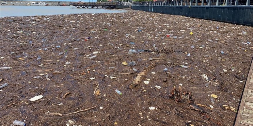 Zonguldak'ta Sel Limanda Kirliliğe Neden Oldu