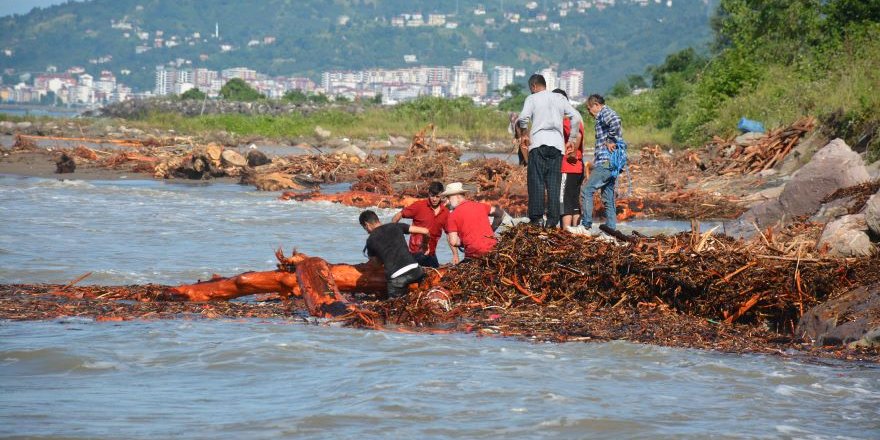 Vatandaşlar Deniz'den Odun Topladı