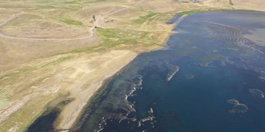 Ağrı'daki Balık Gölü'nün Suyu Bu Sene De Çekildi