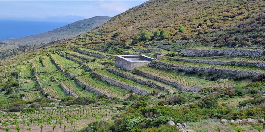 "Akıllı Ada" Akdeniz’e Örnek Oluyor