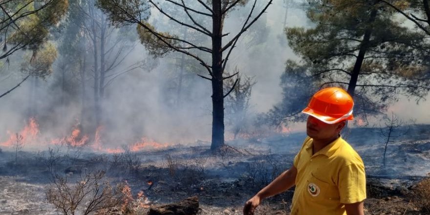 Muğla'da Yıldırımlar 36 Yerde Yangına Neden Oldu