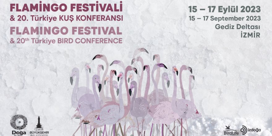Türkiye’nin İlk Flamingo Festivali İzmir’de Gerçekleşiyor