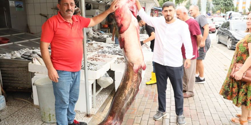 Samsun'da Baraj Gölünde 94 Kilogramlık Yayın Balığı Yakalandı