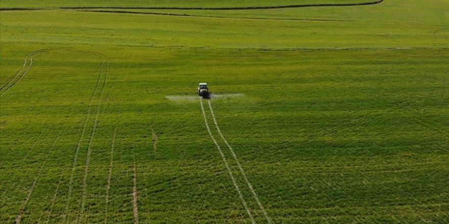 Tarım ÜFE Ağustosta Aylık Bazda Yüzde 3,83, Yıllık Yüzde 76,35 Arttı