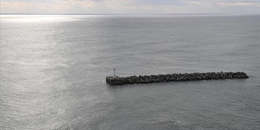 Fukuşima'daki Atık Su, Çin'e Deniz Mahsulleri İhracatını Düşürdü
