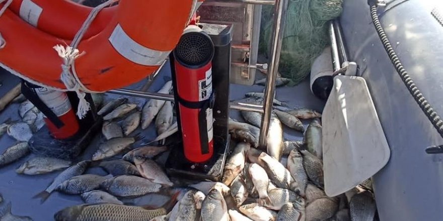 Ağa Takılan 200 Kilogram Balık Göle Bırakıldı