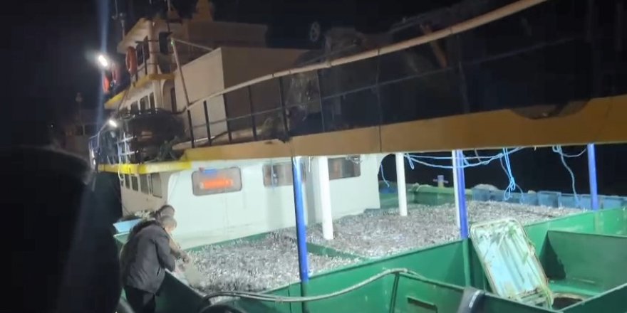 Fırtınanın Ardından Balıkçılar Kasalar Dolusu Hamsiyle Döndü
