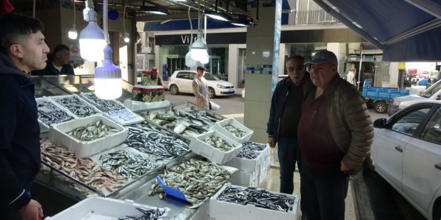 Sinop’ta Balıkçı Tezgahlarında Hamsi Bolluğu Yaşanıyor