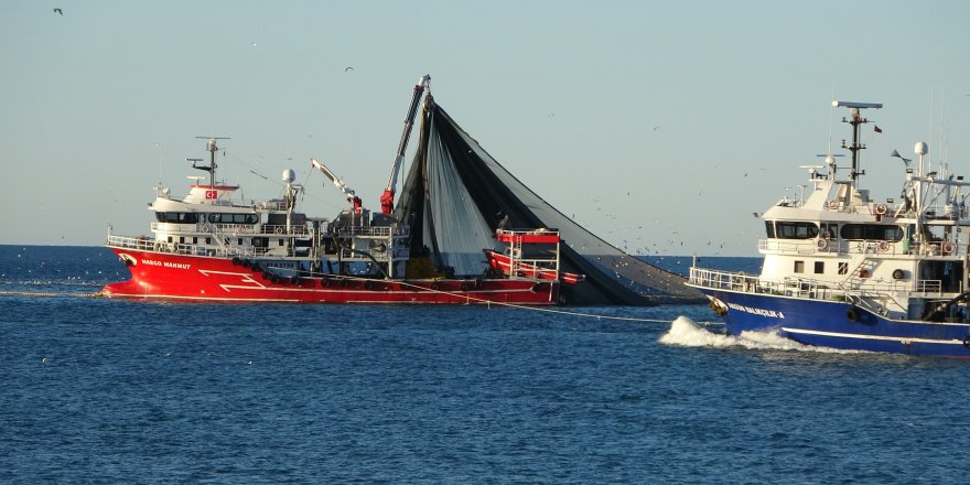 Hamside Bolluk Günleri Geçti, Yokluk Günleri Başladı