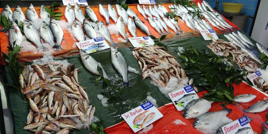 Karadeniz’de Balık Fiyatları 2'ye Katladı