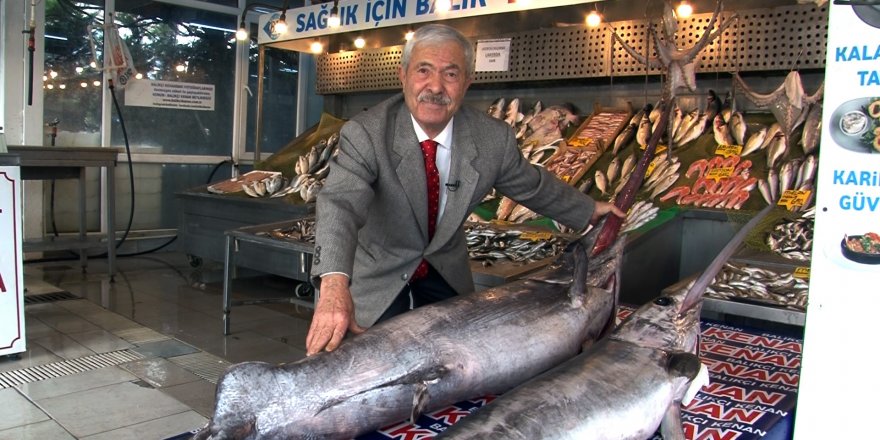 Marmara Denizi’nde Dev Kılıç Balıkları Ağlara Takıldı