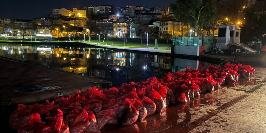 Üsküdar’da 6 Ton Kaçak Midye Ele Geçirildi