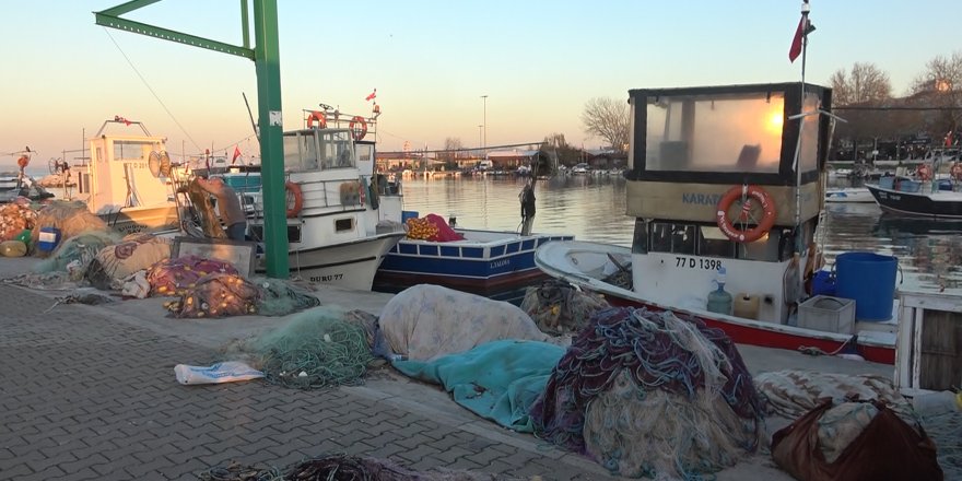 Rotayı Marmara'ya Çeviren Balon Balığı Balıkçıları Endişelendirdi