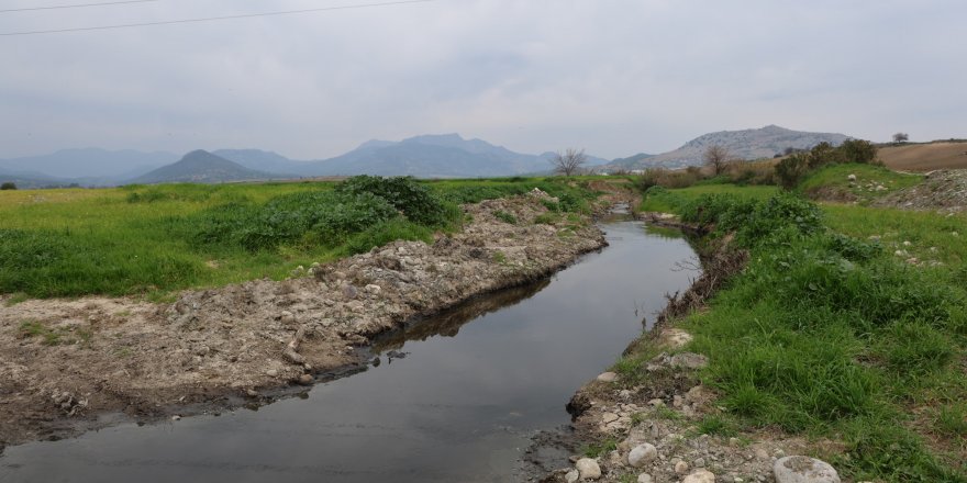 Adana'da Dereyi Kirleten Fabrikaya Para Cezası Uygulandı