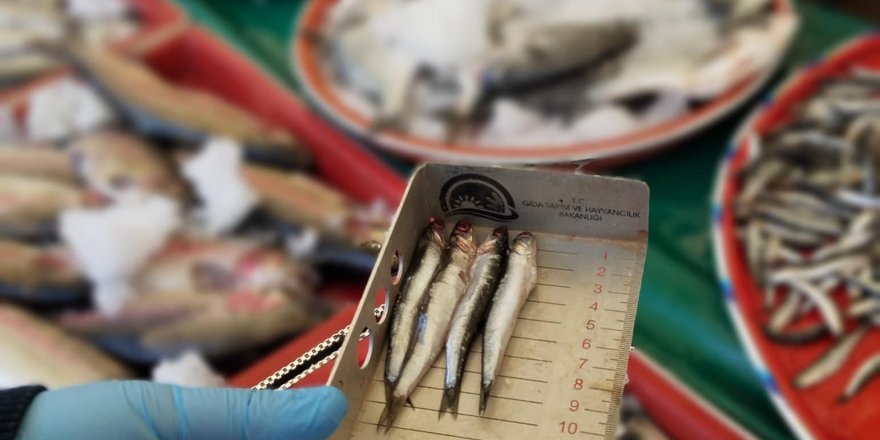 Beyşehir’de Perakende Balık Satış Yerleri Denetlendi