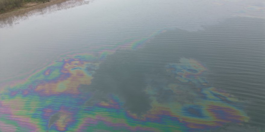 Sapanca Gölü'ne Sızan Yakıtın Temizlenmesi İçin Çalışma Yürütülüyor