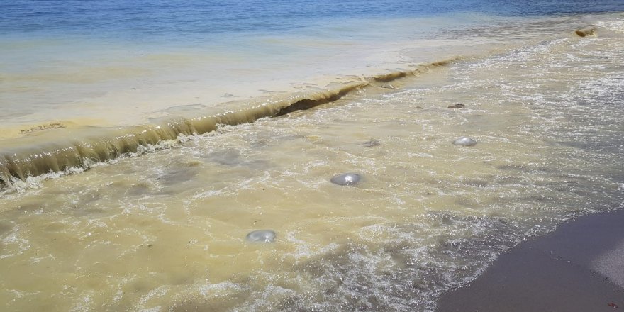 Antalya'da Deniz Kıyısında Korkutan Görüntü