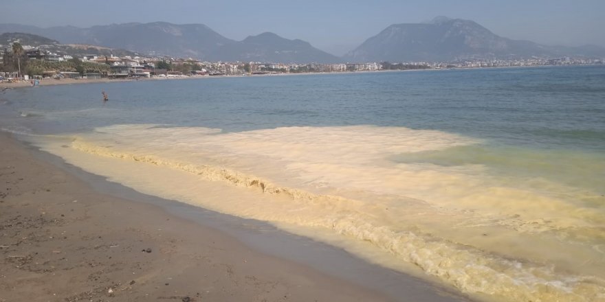 Antalya'da Deniz Kıyılarında Tedirgin Eden Görüntüye Uzmanından Açıklama