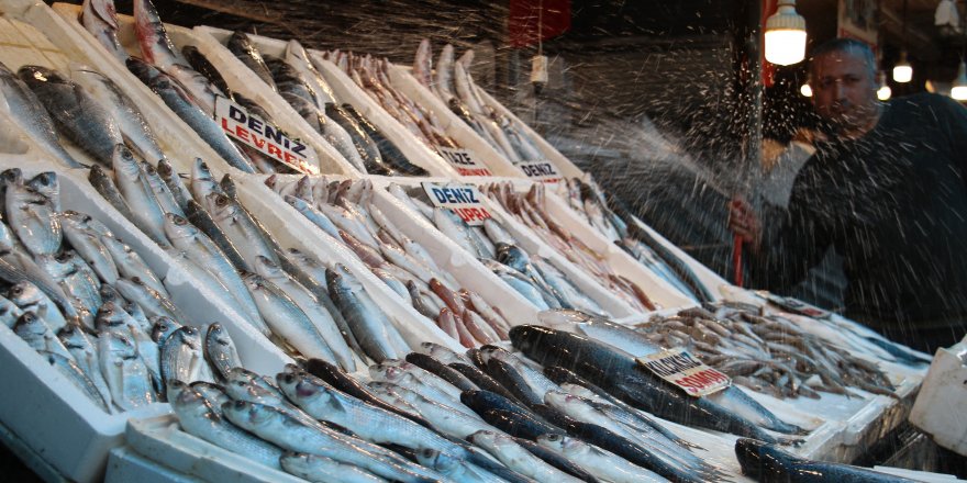 Av Yasağının Başlamasıyla Balık Çeşitliliği Azalacak, Fiyatlar Aynı Kalacak