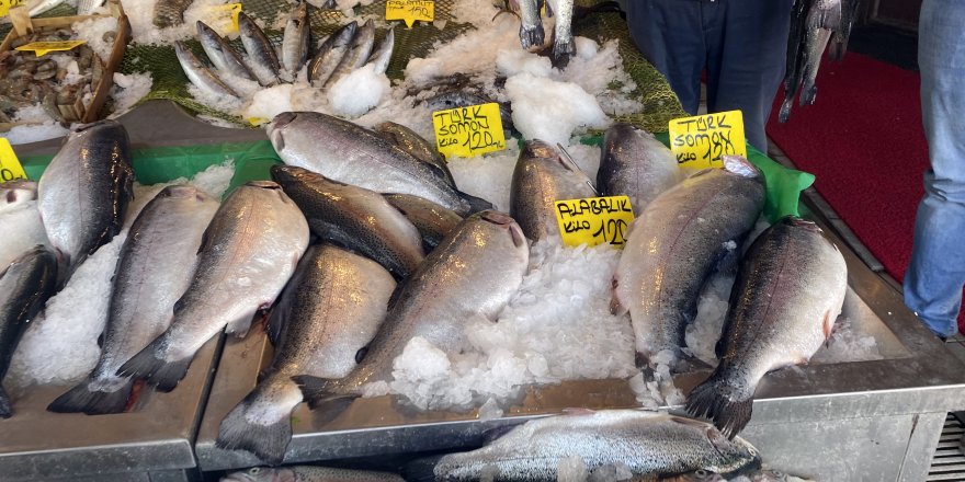 Karadeniz Somonu Yüzleri Güldürdü: 300 liradan 120 liraya Düştü