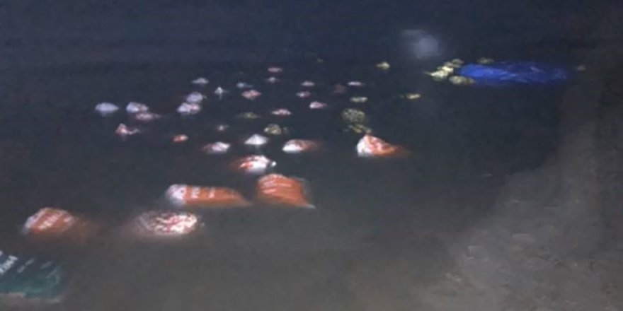 Van’da 3 Ton Kaçak Avlanmış Balık Ele Geçirildi